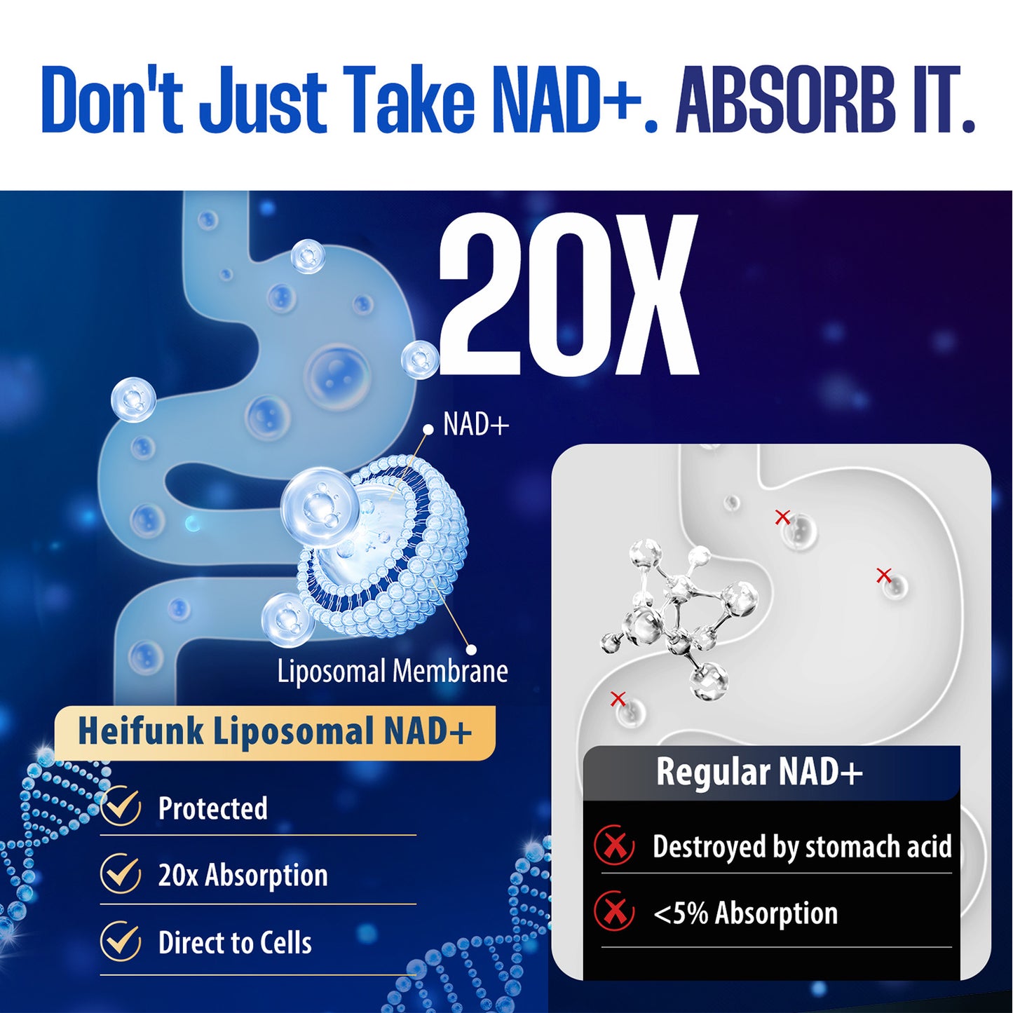 Heifunk NAD+ Supplement