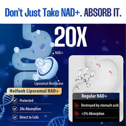 Puyflam NAD+ Supplement